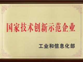 國家技術創(chuàng)新示范企業(yè)